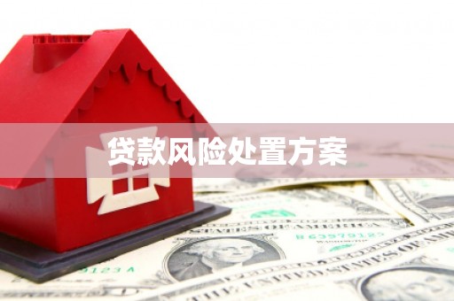 银川贷款风险处置方案