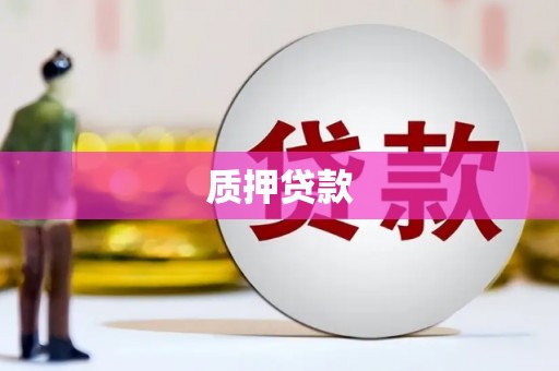 银川质押贷款