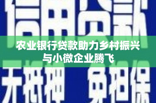 银川农业银行贷款助力乡村振兴与小微企业腾飞