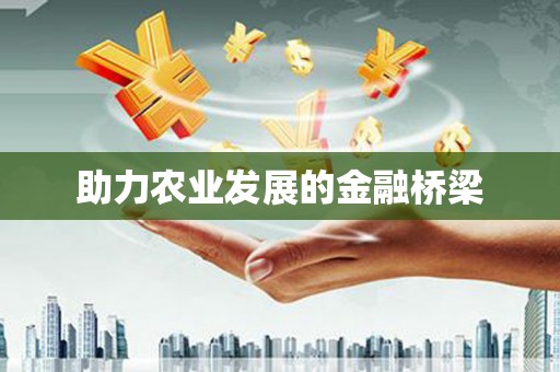 银川助力农业发展的金融桥梁