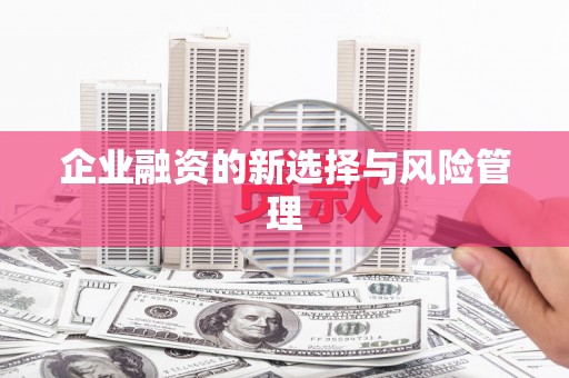 银川企业融资的新选择与风险管理