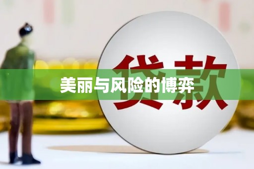 银川美丽与风险的博弈