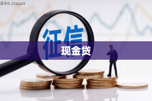 银川现金贷