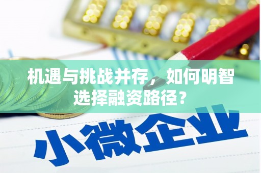银川机遇与挑战并存，如何明智选择融资路径？