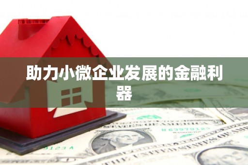 银川助力小微企业发展的金融利器