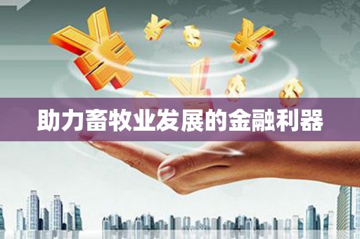 银川助力畜牧业发展的金融利器