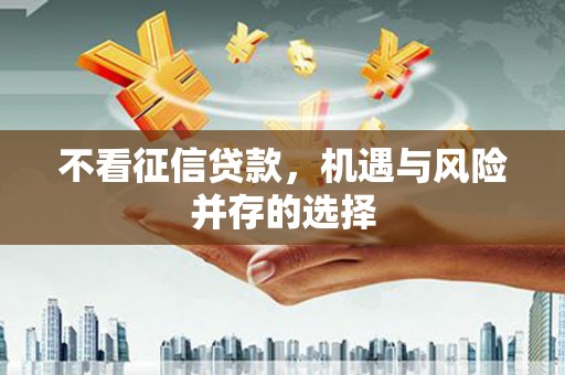 银川不看征信贷款，机遇与风险并存的选择