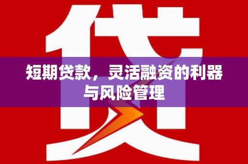 银川短期贷款，灵活融资的利器与风险管理